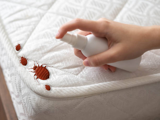 Best Pest Removal Services  in Rkside, PA