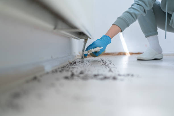 Best Affordable Pest Control Services  in Rkside, PA